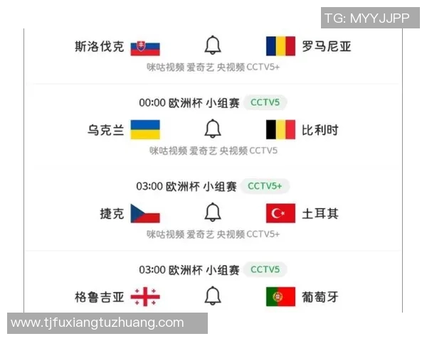 乌克兰与葡萄牙足球比赛阵容分析及球员表现预测